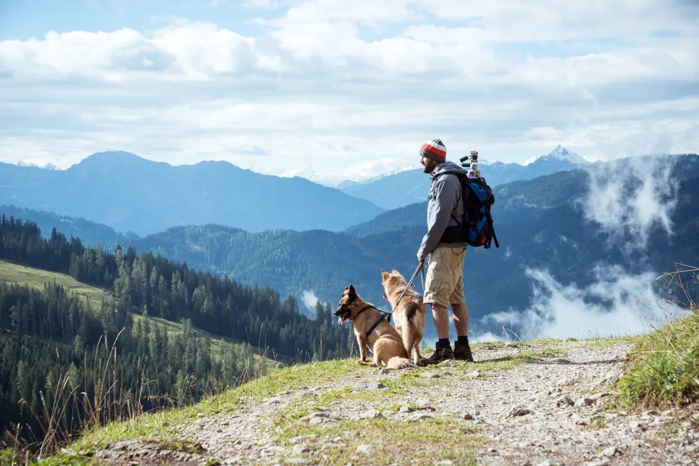 Wanderurlaub am Wanderort Lofer | CHECK24