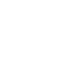 Wohnmobil icon