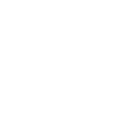 Flüge icon