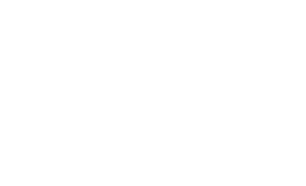 Wohnmobil icon